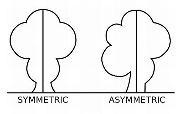 Detail Contoh Gambar Keseimbangan Simetris Nomer 20