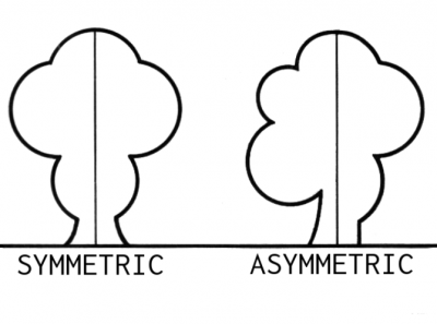 Detail Contoh Gambar Keseimbangan Simetris Nomer 7