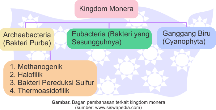 Detail Contoh Gambar Kingdom Monera Nomer 28