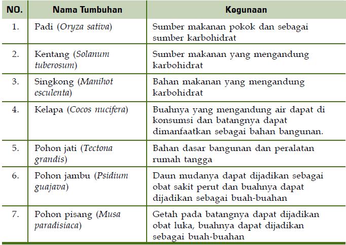 Detail Contoh Gambar Kingdom Plantae Nomer 50