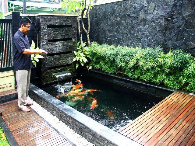 Detail Contoh Gambar Kolam Ikan Nomer 2