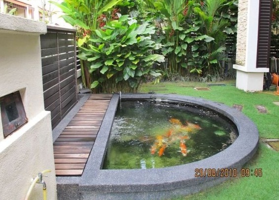 Detail Contoh Gambar Kolam Ikan Nomer 29