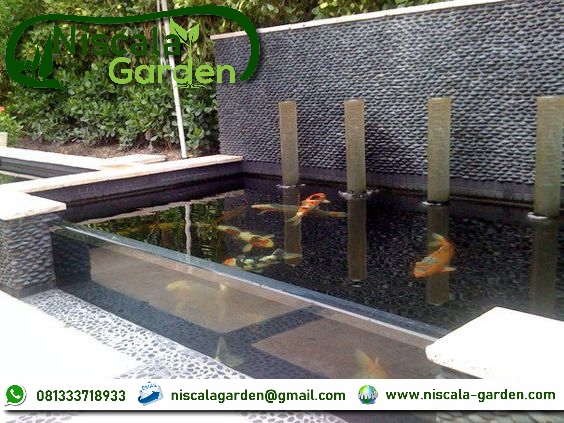 Detail Contoh Gambar Kolam Ikan Minimalis Nomer 6