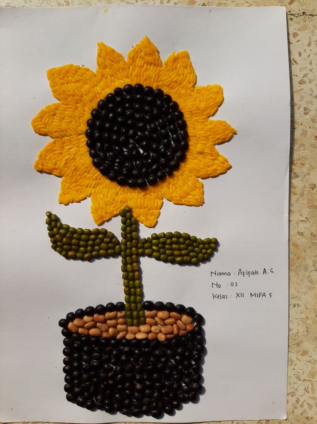 Contoh Gambar Kolase Bunga Matahari Dari Biji Bijian - KibrisPDR