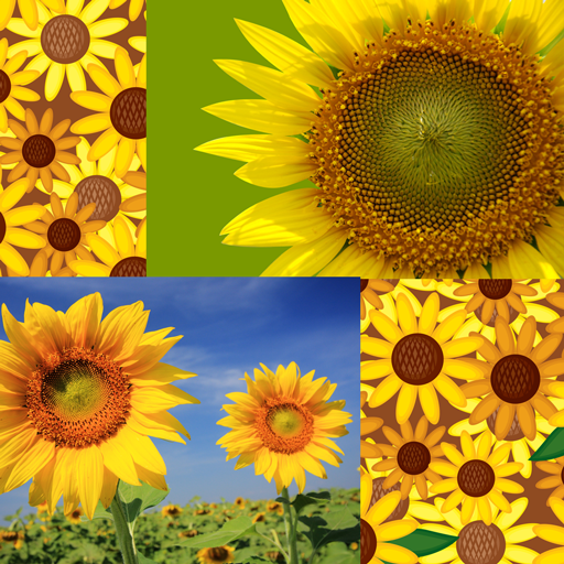 Detail Contoh Gambar Kolase Bunga Matahari Dari Biji Bijian Nomer 58