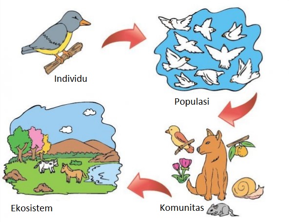 Detail Contoh Gambar Komunitas Hewan Nomer 39