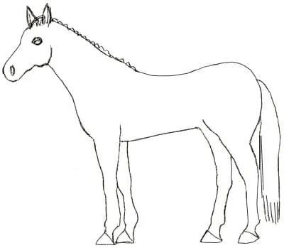 Contoh Gambar Kuda - KibrisPDR