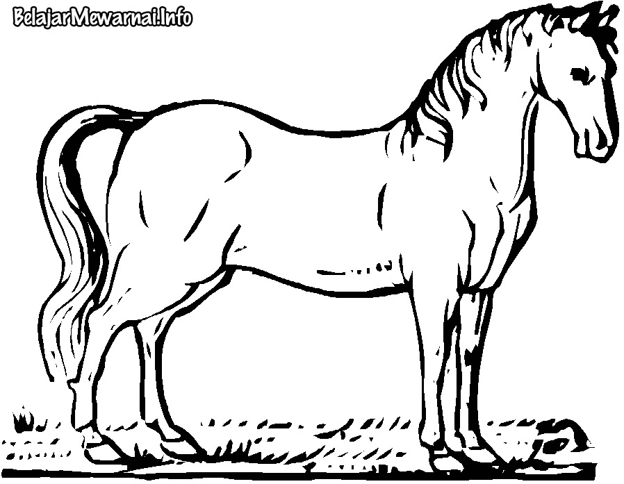 Detail Contoh Gambar Kuda Nomer 21