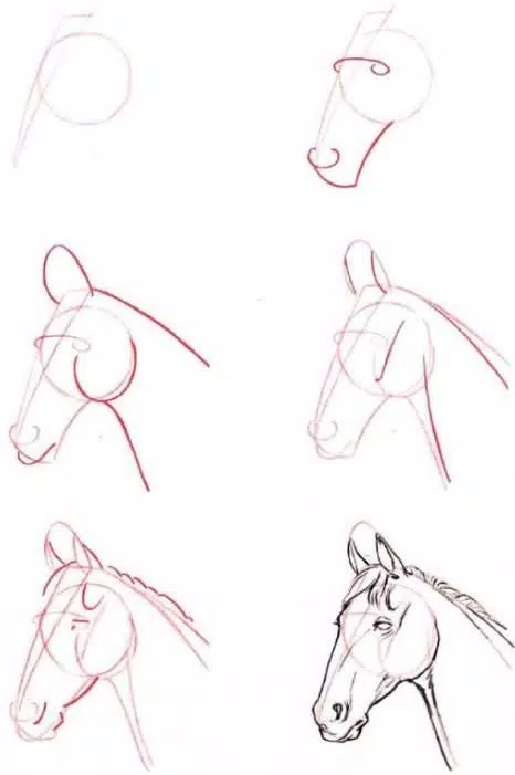 Detail Contoh Gambar Kuda Nomer 7