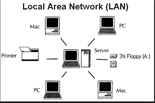 Detail Contoh Gambar Lan Nomer 3