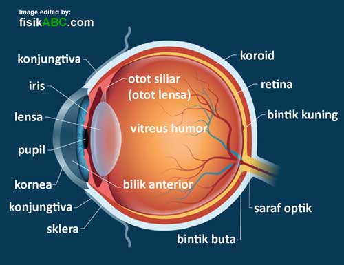 Detail Contoh Gambar Mata Nomer 35