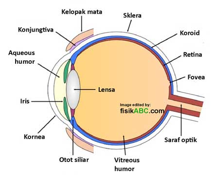 Detail Contoh Gambar Mata Nomer 38