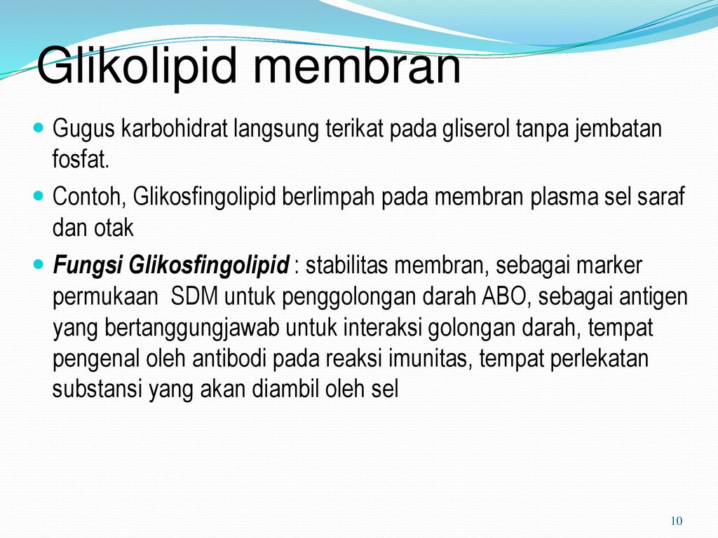 Detail Contoh Gambar Membran Sel Nomer 27