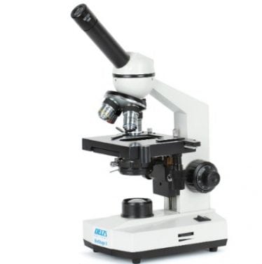 Detail Contoh Gambar Mikroskop Nomer 21