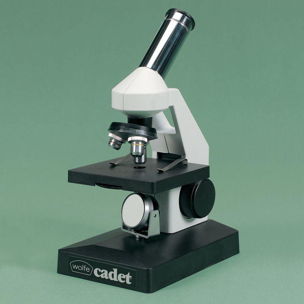Detail Contoh Gambar Mikroskop Nomer 22