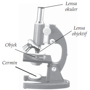 Detail Contoh Gambar Mikroskop Nomer 31