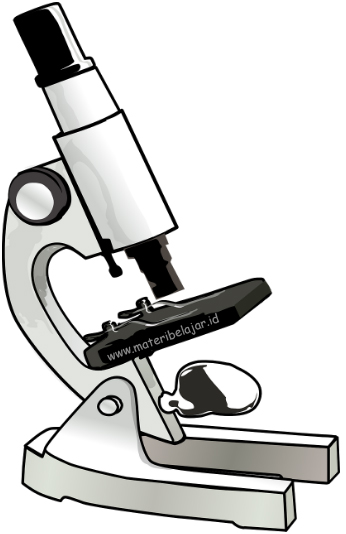 Detail Contoh Gambar Mikroskop Nomer 34