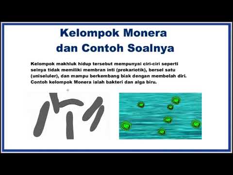 Detail Contoh Gambar Monera Nomer 31