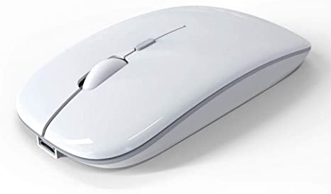 Detail Contoh Gambar Mouse Nomer 18