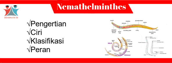 Detail Contoh Gambar Nemathelminthes Nomer 31