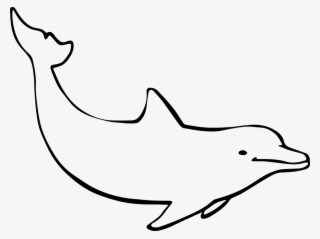 Detail Dolphin Drawing Nomer 9