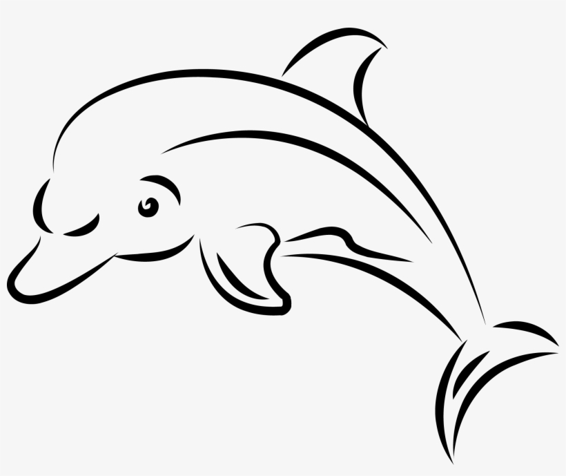 Detail Dolphin Drawing Nomer 12