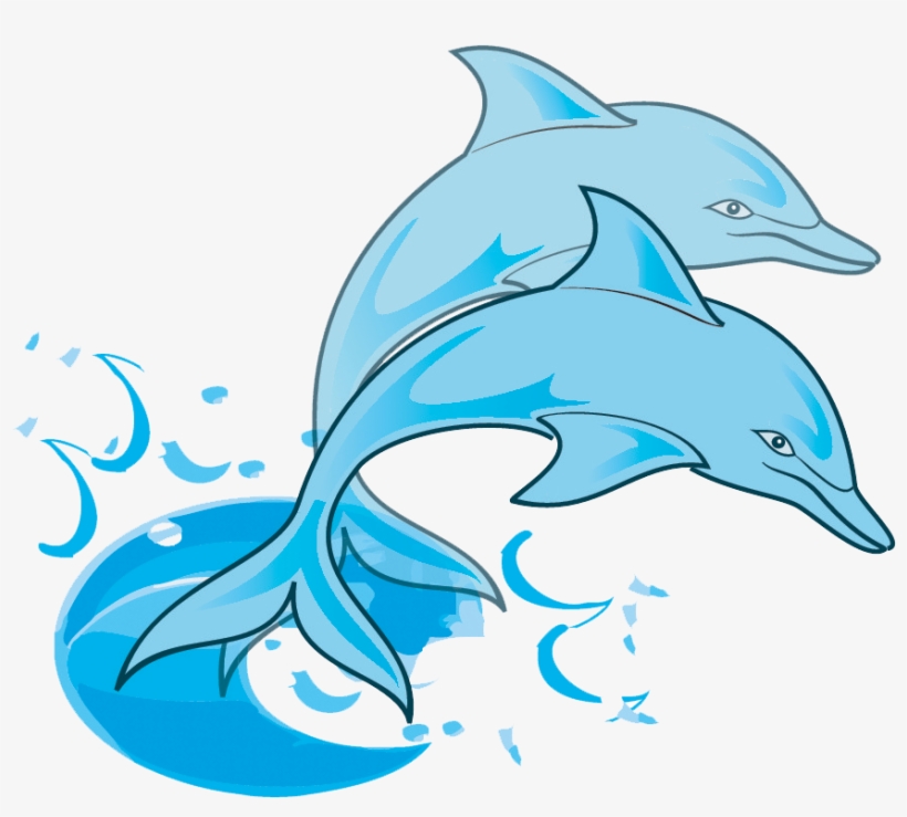 Detail Dolphin Drawing Nomer 18