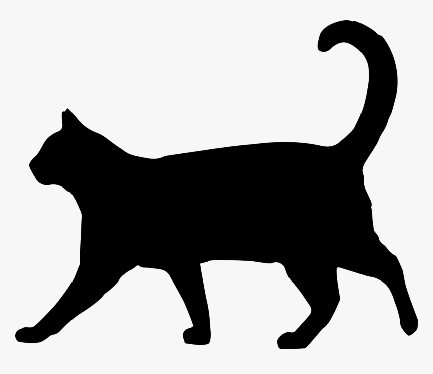 Detail Transparent Cat Image Nomer 10