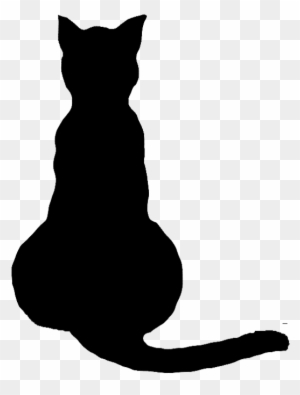 Detail Transparent Cat Image Nomer 11