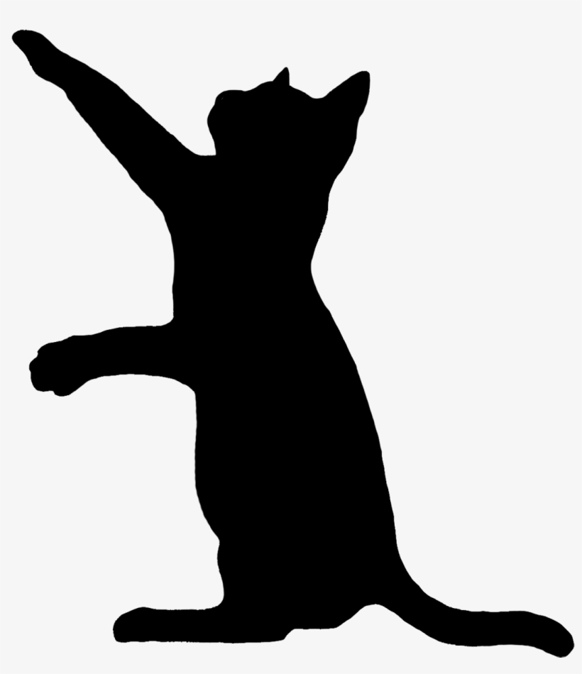 Detail Transparent Cat Image Nomer 15