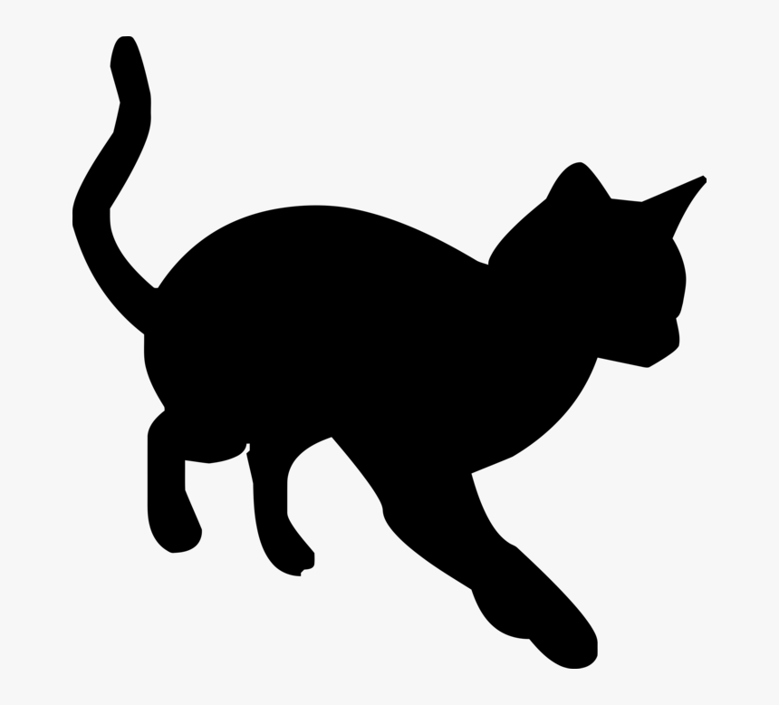 Detail Transparent Cat Image Nomer 18