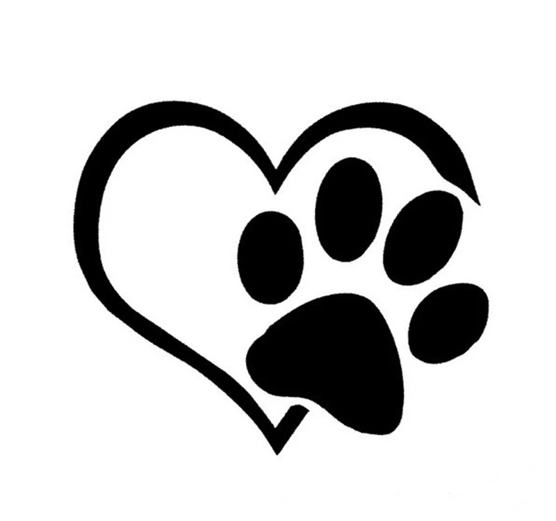 Detail Hund Pfote Nomer 24