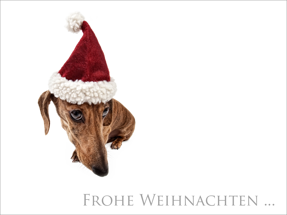 Detail Kreativ Familienfoto Weihnachten Nomer 18