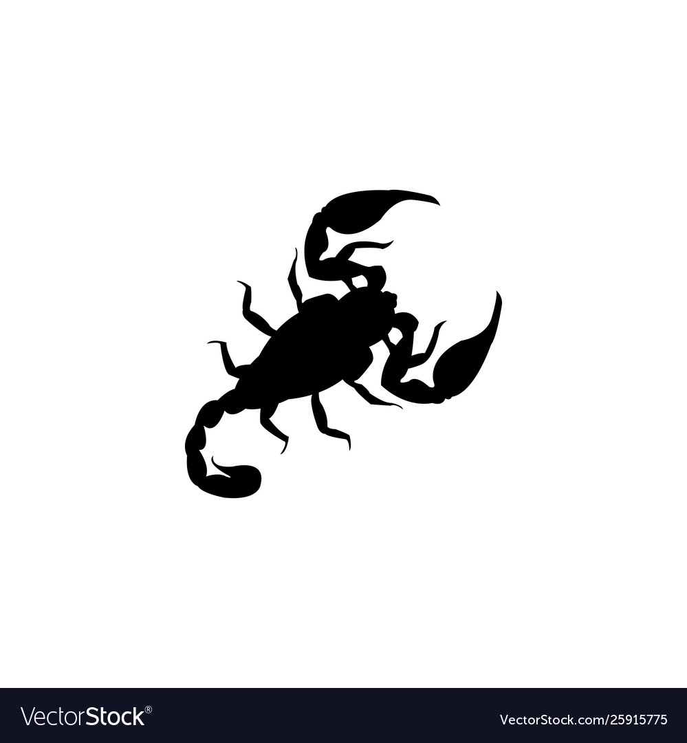 Skorpion Zeichnung - KibrisPDR