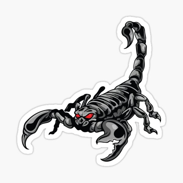 Detail Skorpion Zeichnung Nomer 17