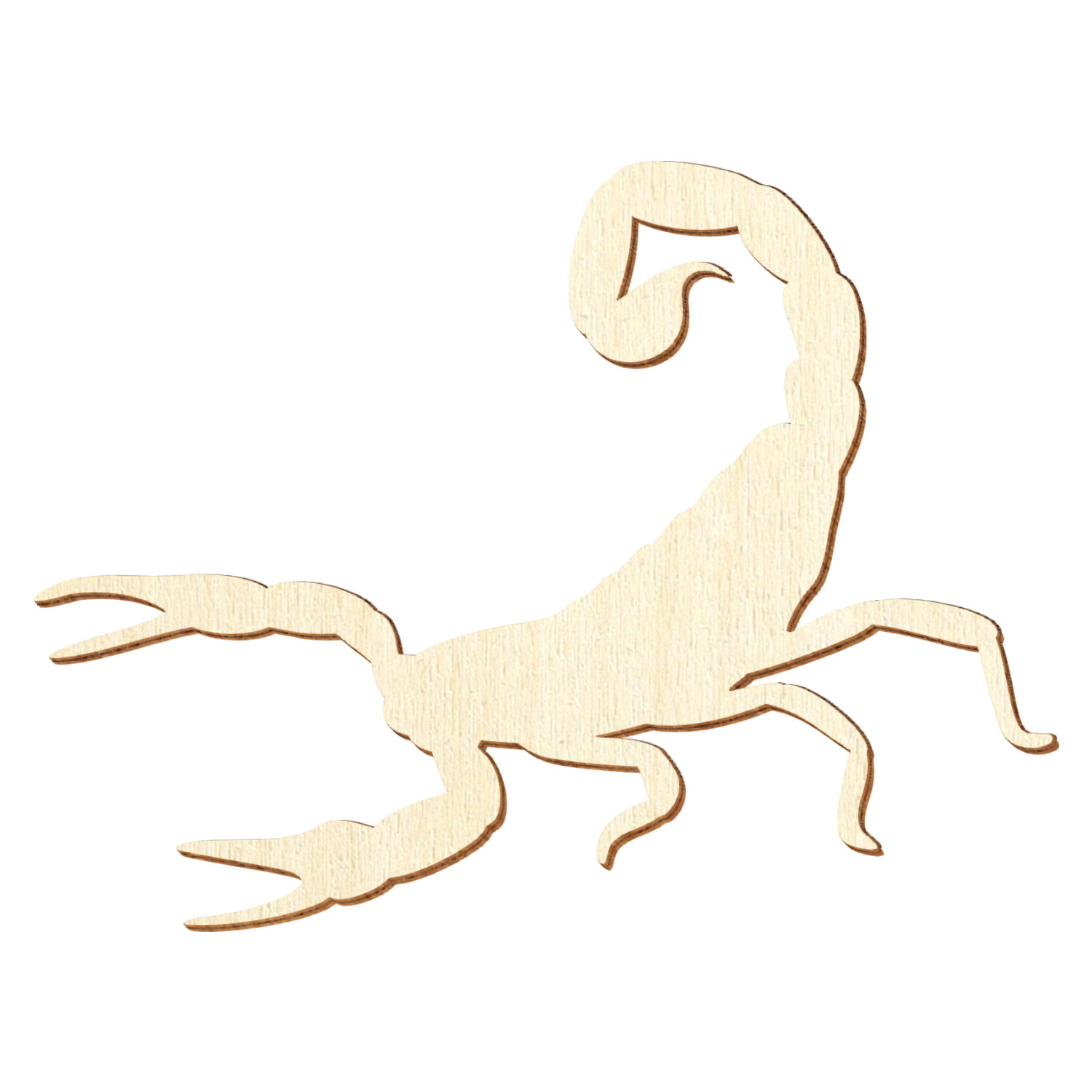 Detail Skorpion Zeichnung Nomer 6