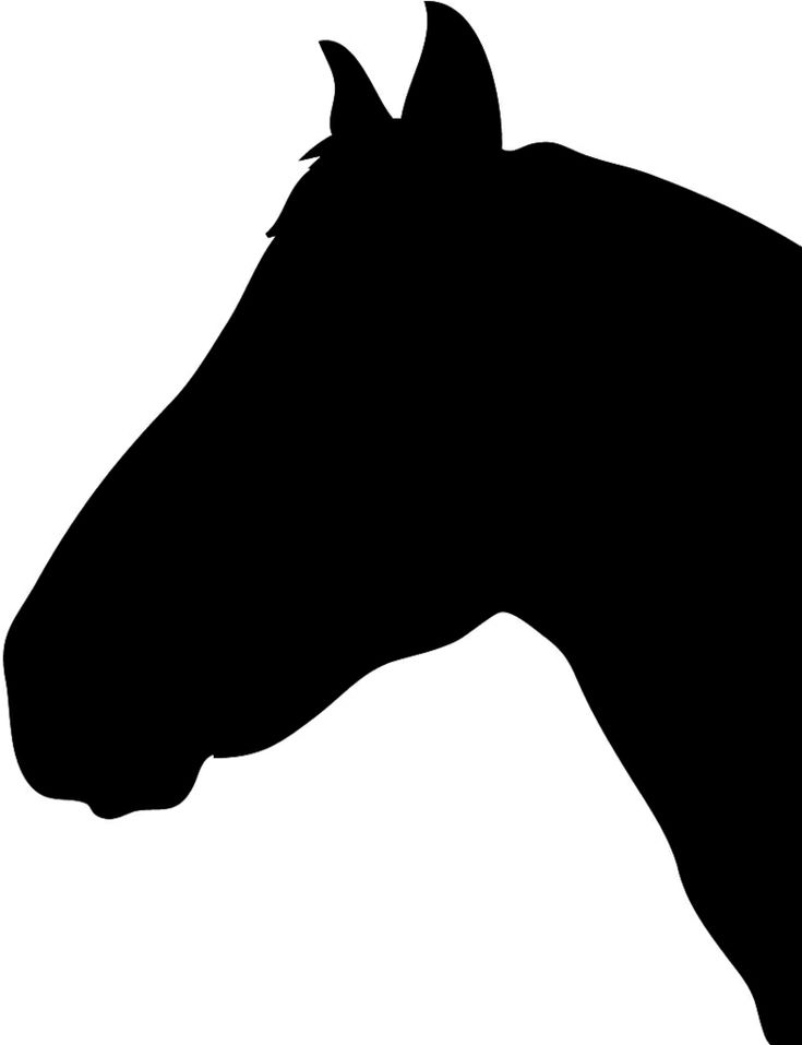Detail Vorlage Pferd Nomer 18