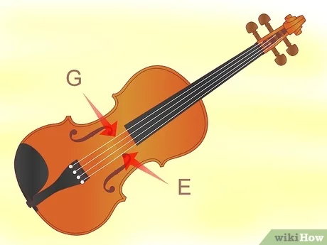 Detail Afinacion Violonchelo Nomer 21