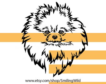 Detail Cavapoo Schwarz Nomer 12