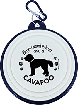 Detail Cavapoo Schwarz Nomer 7