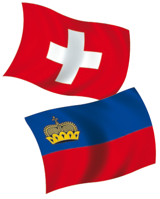 Detail Flagge Liechtenstein Nomer 23
