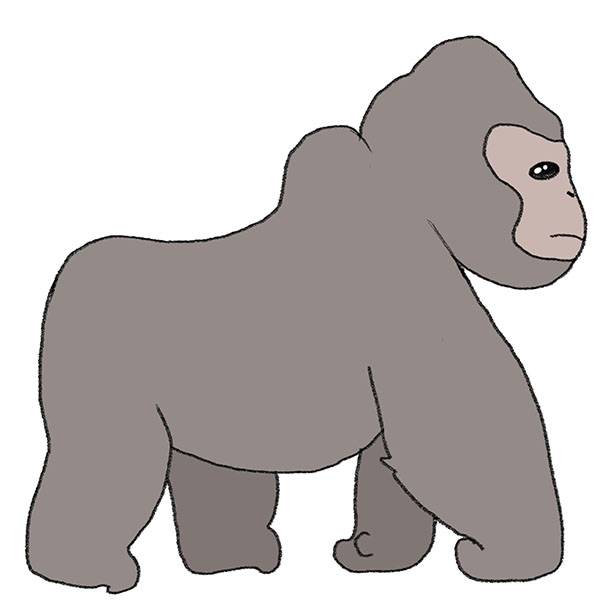 Detail Gorilla Zeichnen Nomer 6