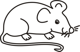 Maus Seite - KibrisPDR