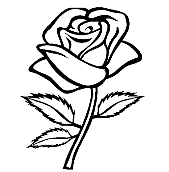 Detail Rose Vorlage Nomer 7