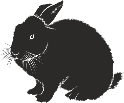 Detail Schwarzer Hase Nomer 3