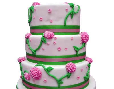 Detail Eukalyptus Torte Nomer 24