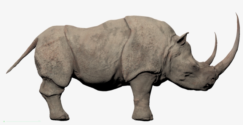 Detail Conan Exiles Black Rhino Nomer 3