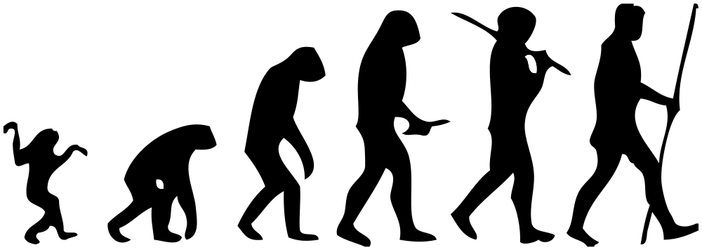 Detail Menschliche Evolution Nomer 2