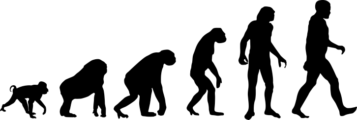 Detail Menschliche Evolution Nomer 6