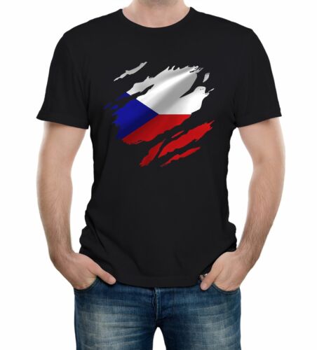 Detail Prag Flagge Nomer 19